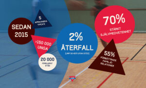 Beskrivning av Youth Justice metoden